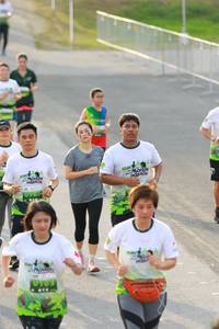 BIB: 
                            <button type="button" onclick="openModal(3540455)" class="btn btn-primary btn-sm float-right btn-popup" data-toggle="modal" data-target=".modal-high-quality">
                        <i class="fas fa-shopping-cart"></i> Add to Cart
                    </button>
                                            <button type="button" onclick="isThisMe(3540455, true)" class="btn btn-success btn-sm float-right btn-popup btn-isme hidden" data-toggle="tooltip" data-placement="bottom" title="นี่คือรูปของคุณใช่ไหม คลิกที่นี่เพื่อเอาเข้าอัลบั้ม">
                        <i class="fas fa-plus"></i> Add to album
                    </button>
                    <button type="button" onclick="isThisMe(3540455, false)" class="btn btn-warning btn-sm float-right btn-popup btn-isnotme hidden">
                        <i class="fas fa-ban"></i> Remove from album
                    </button>